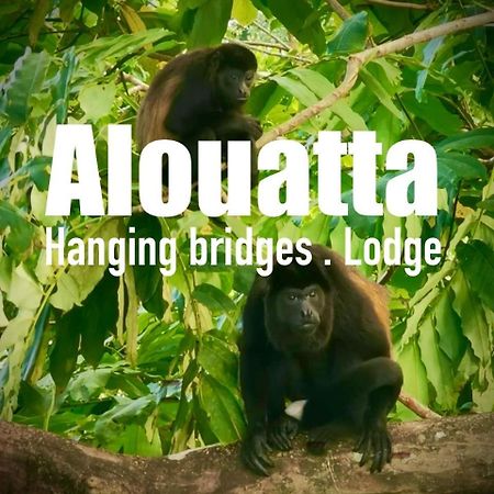 Alouatta Lodge And Canopy Cahuita Zewnętrze zdjęcie