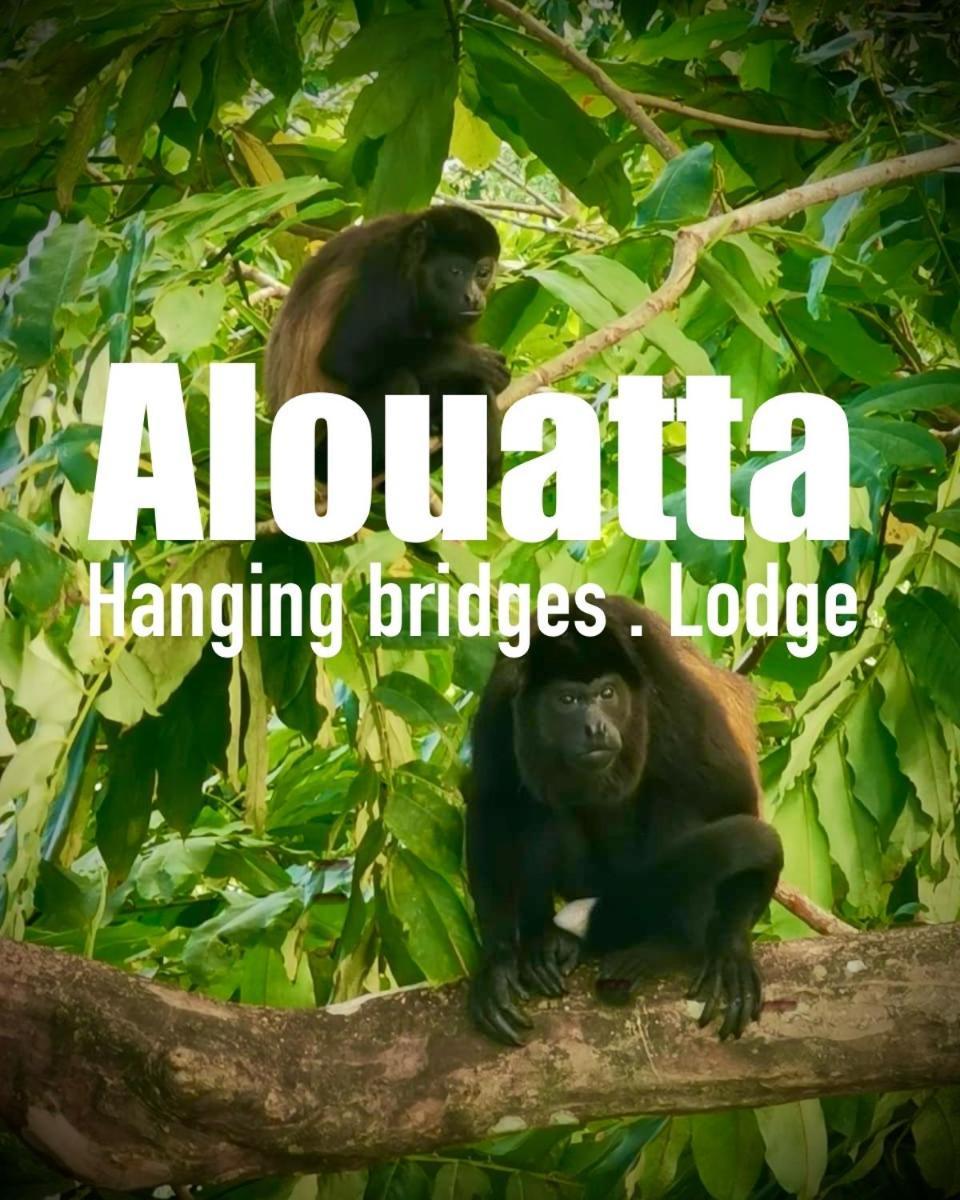 Alouatta Lodge And Canopy Cahuita Zewnętrze zdjęcie