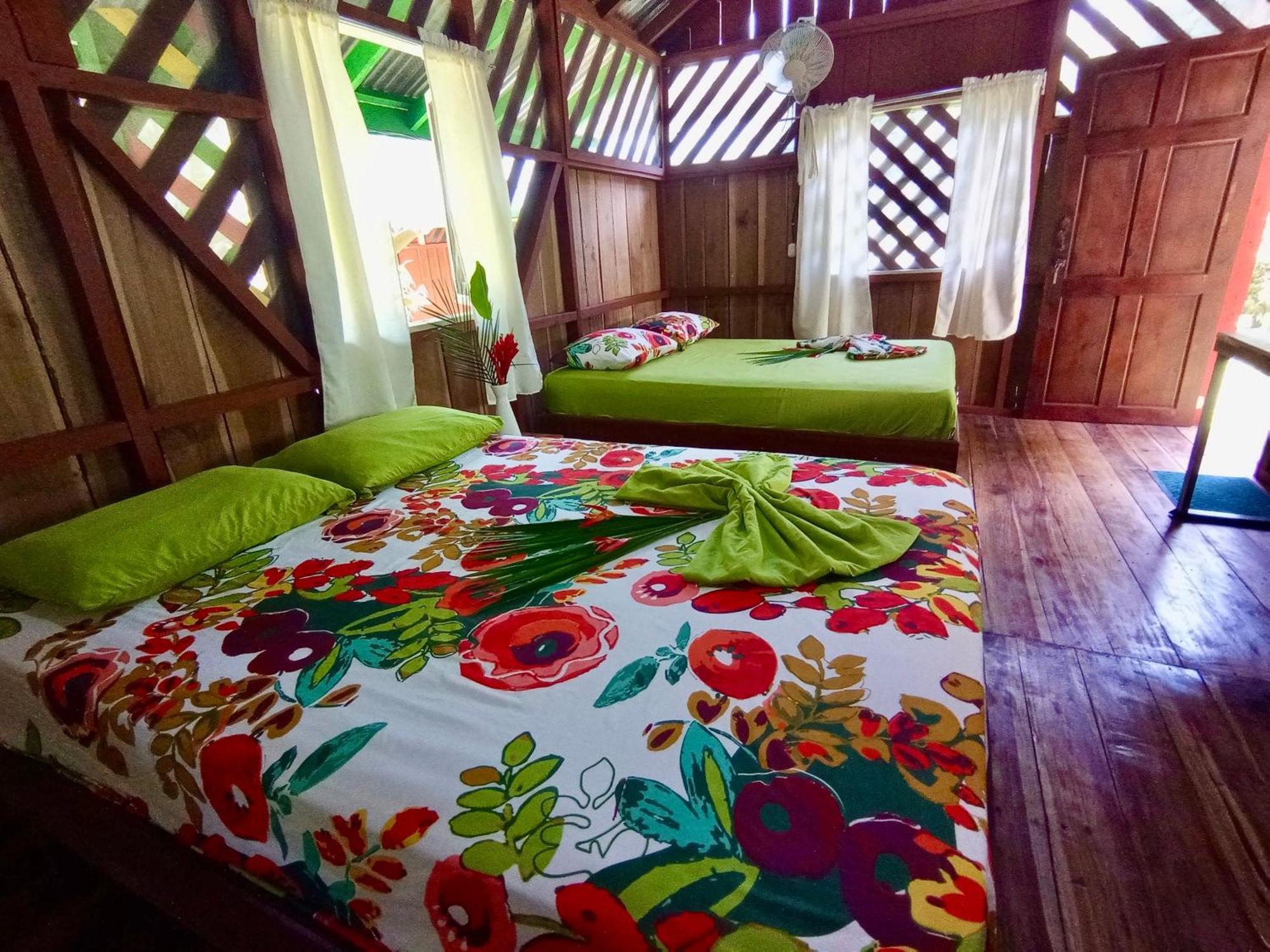 Alouatta Lodge And Canopy Cahuita Zewnętrze zdjęcie
