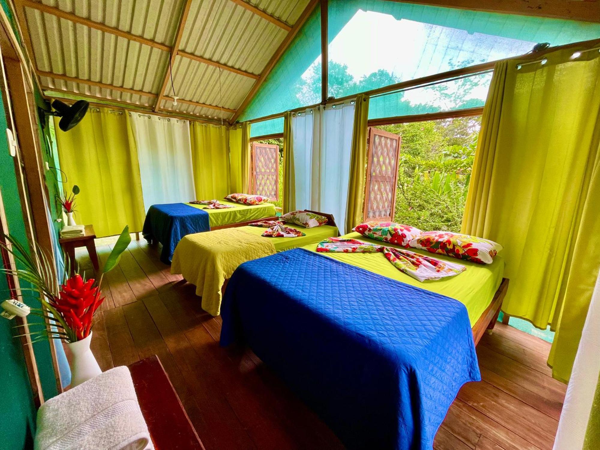 Alouatta Lodge And Canopy Cahuita Zewnętrze zdjęcie