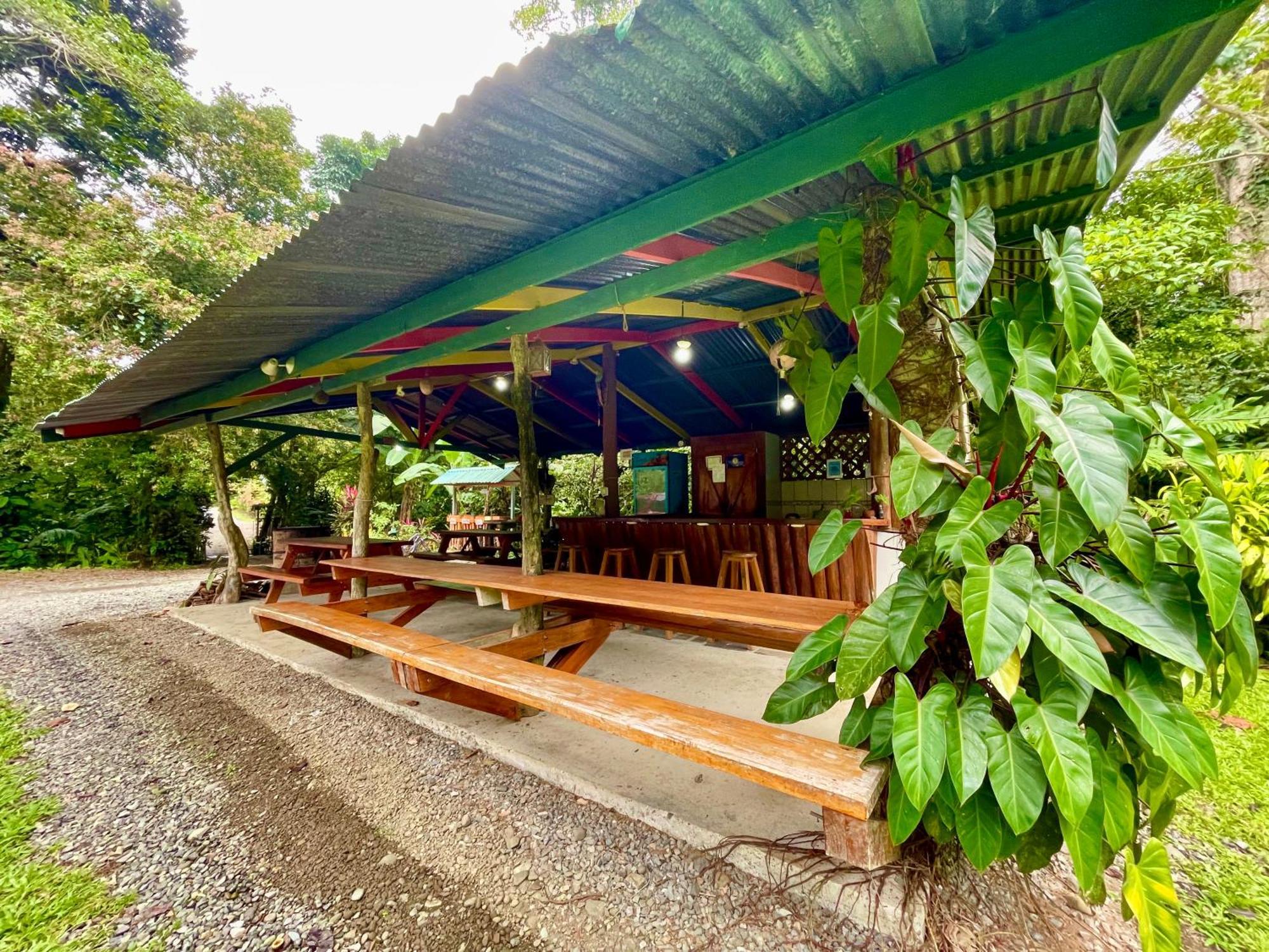 Alouatta Lodge And Canopy Cahuita Zewnętrze zdjęcie
