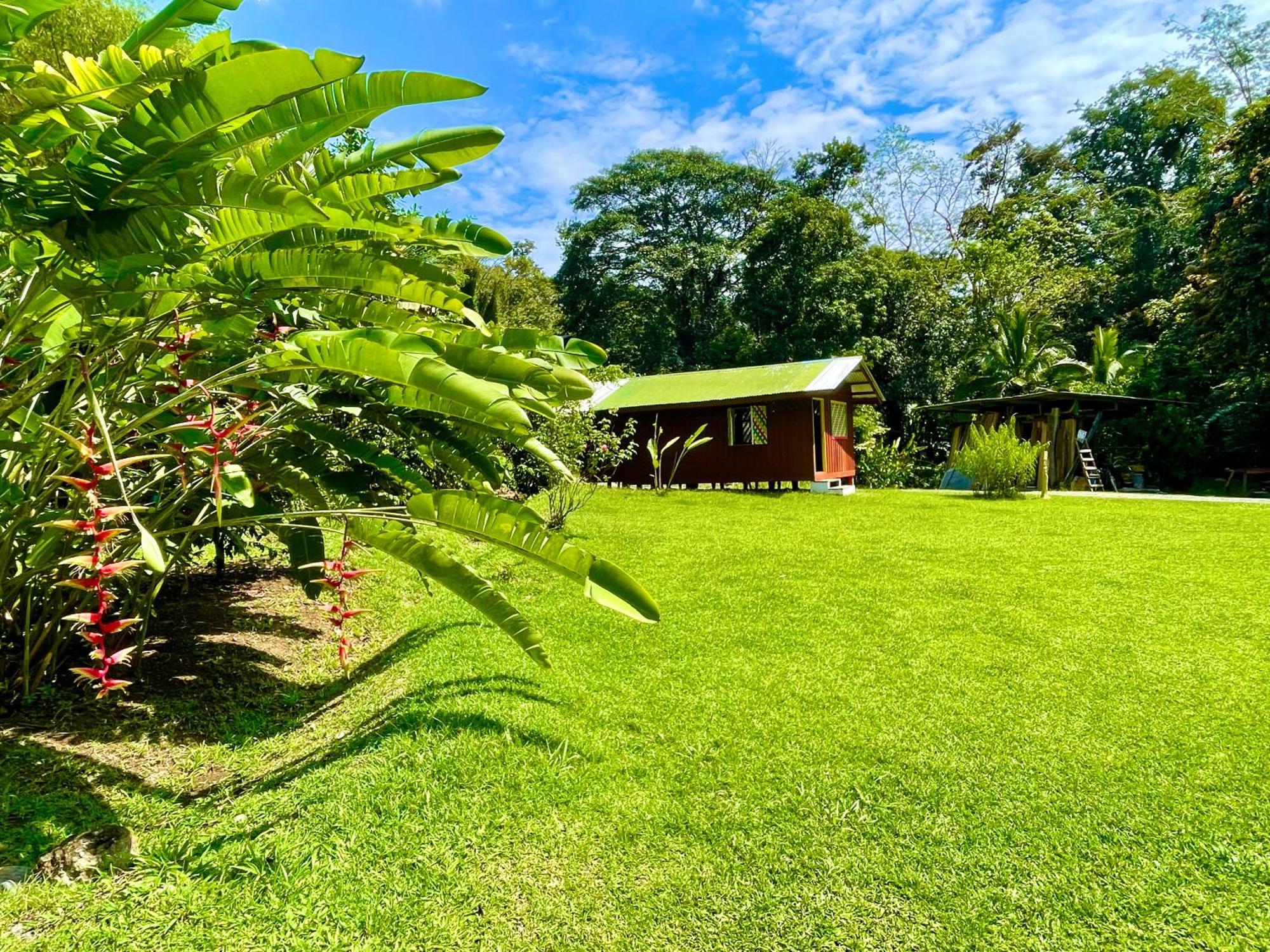 Alouatta Lodge And Canopy Cahuita Zewnętrze zdjęcie