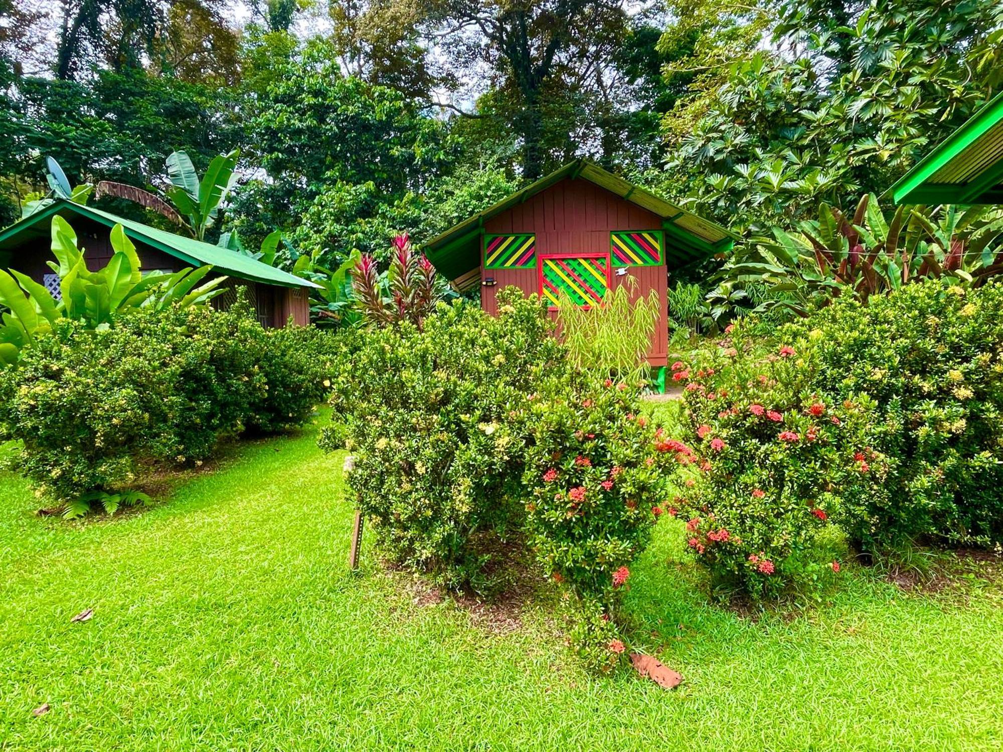 Alouatta Lodge And Canopy Cahuita Zewnętrze zdjęcie