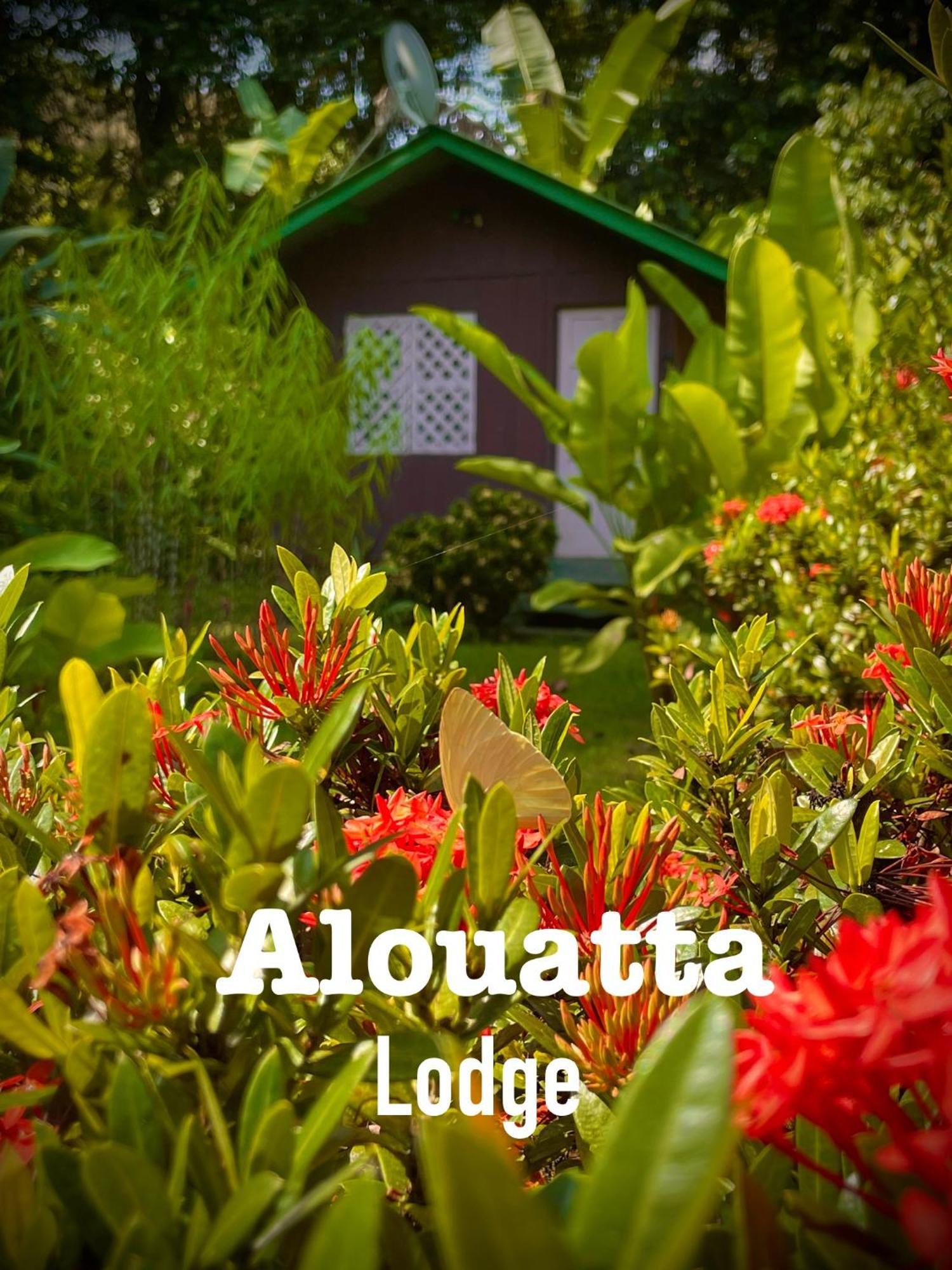 Alouatta Lodge And Canopy Cahuita Zewnętrze zdjęcie
