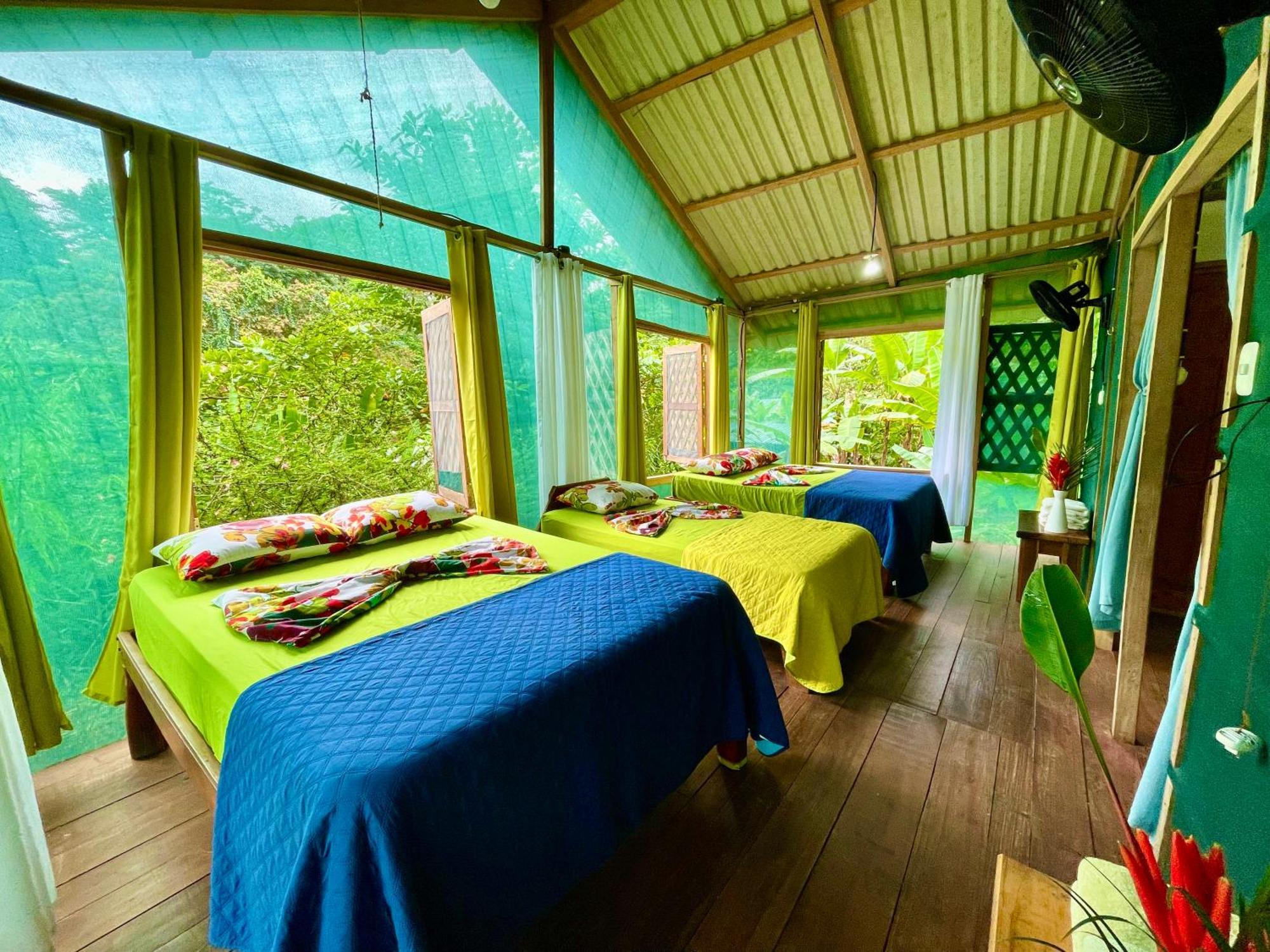 Alouatta Lodge And Canopy Cahuita Zewnętrze zdjęcie