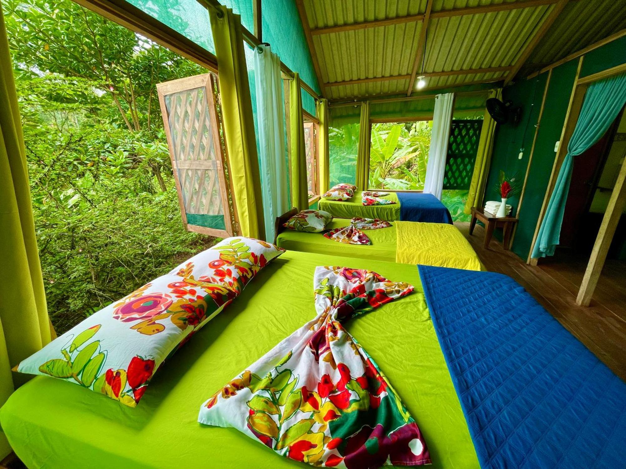 Alouatta Lodge And Canopy Cahuita Zewnętrze zdjęcie
