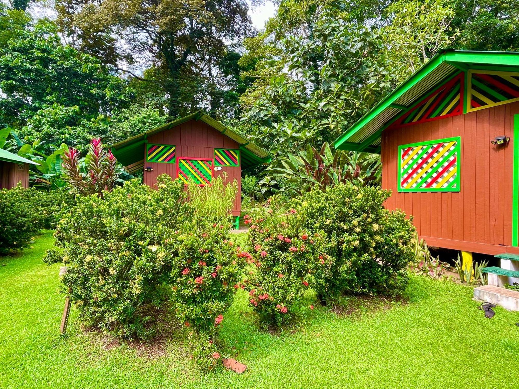 Alouatta Lodge And Canopy Cahuita Zewnętrze zdjęcie