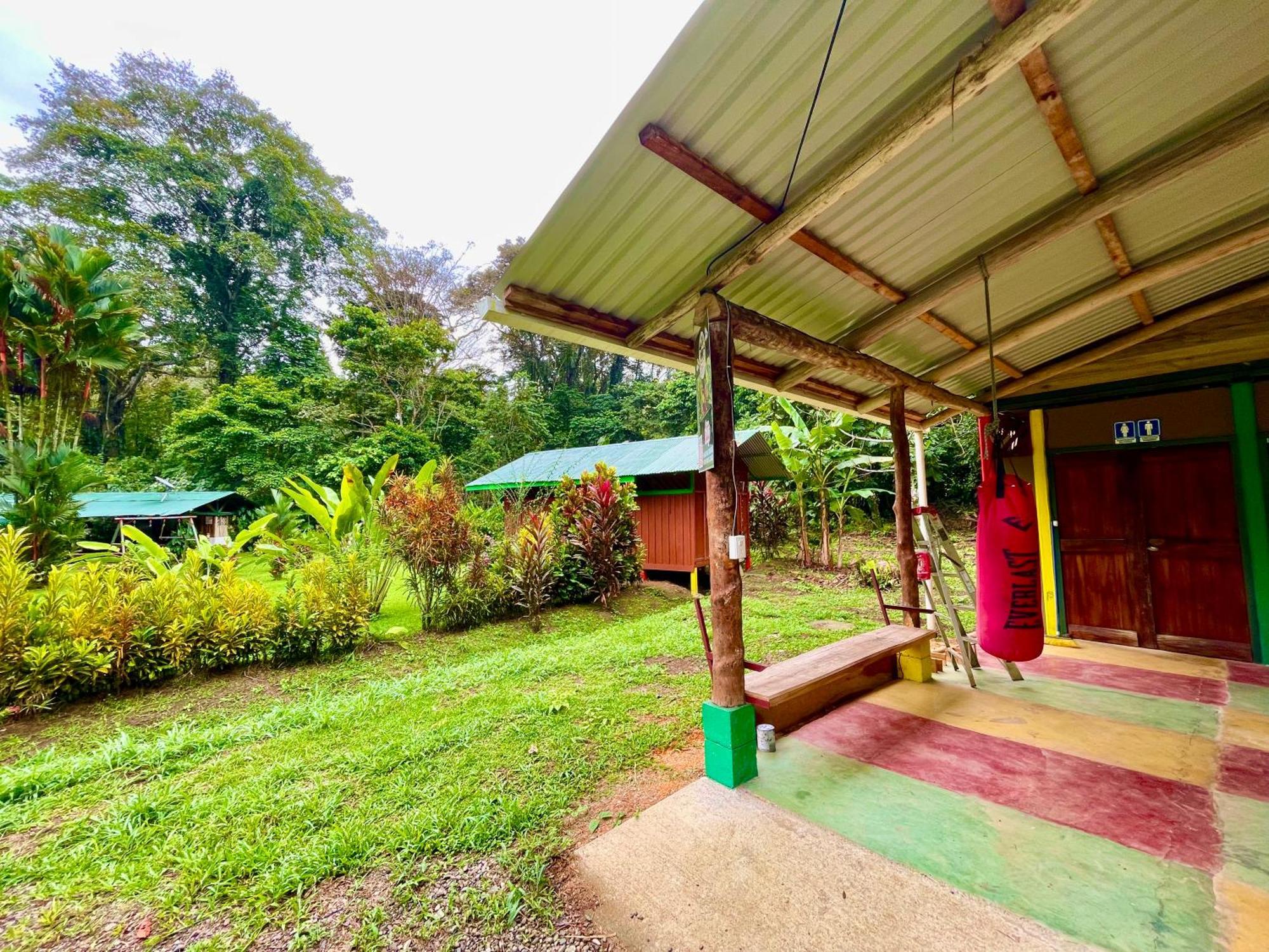 Alouatta Lodge And Canopy Cahuita Zewnętrze zdjęcie