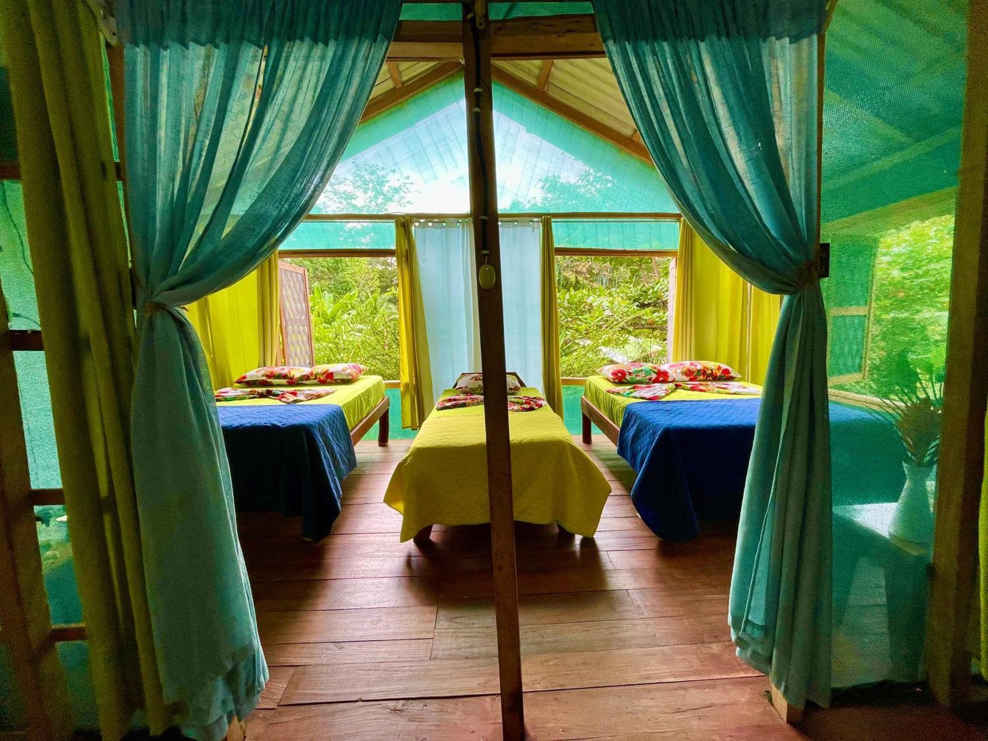 Alouatta Lodge And Canopy Cahuita Zewnętrze zdjęcie