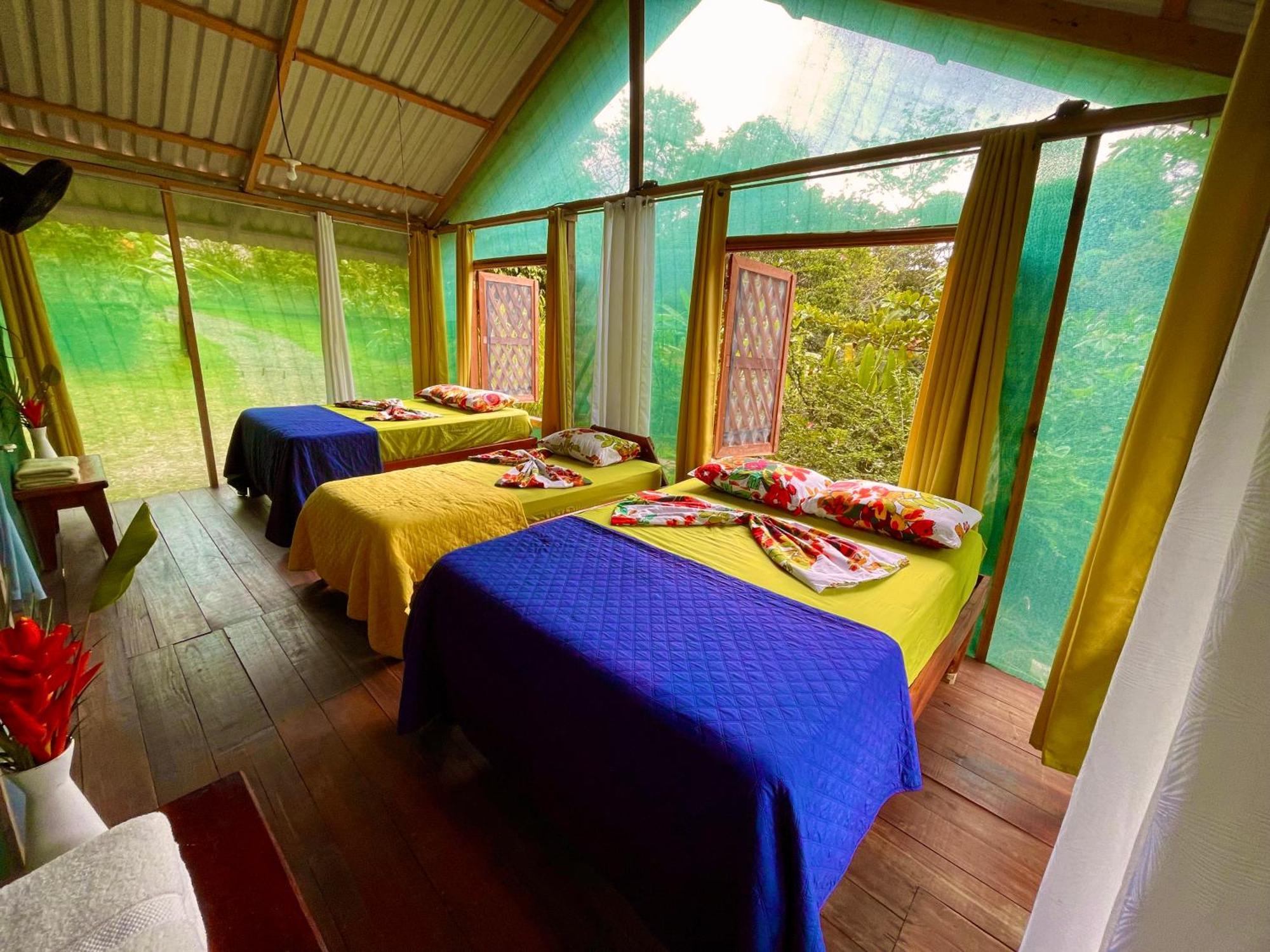 Alouatta Lodge And Canopy Cahuita Zewnętrze zdjęcie