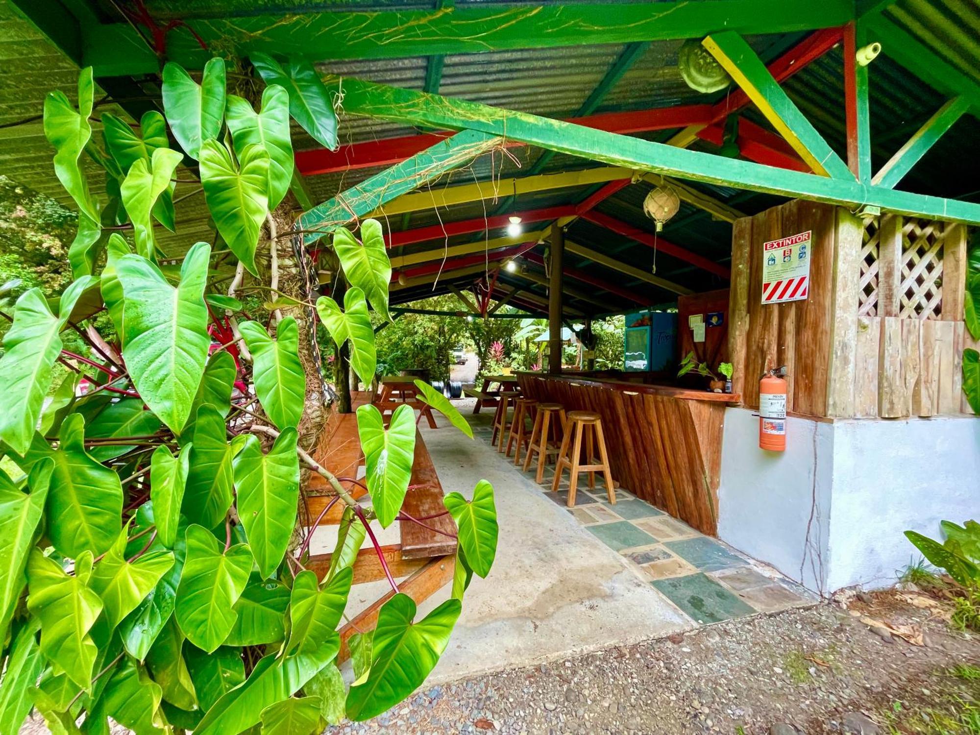 Alouatta Lodge And Canopy Cahuita Zewnętrze zdjęcie