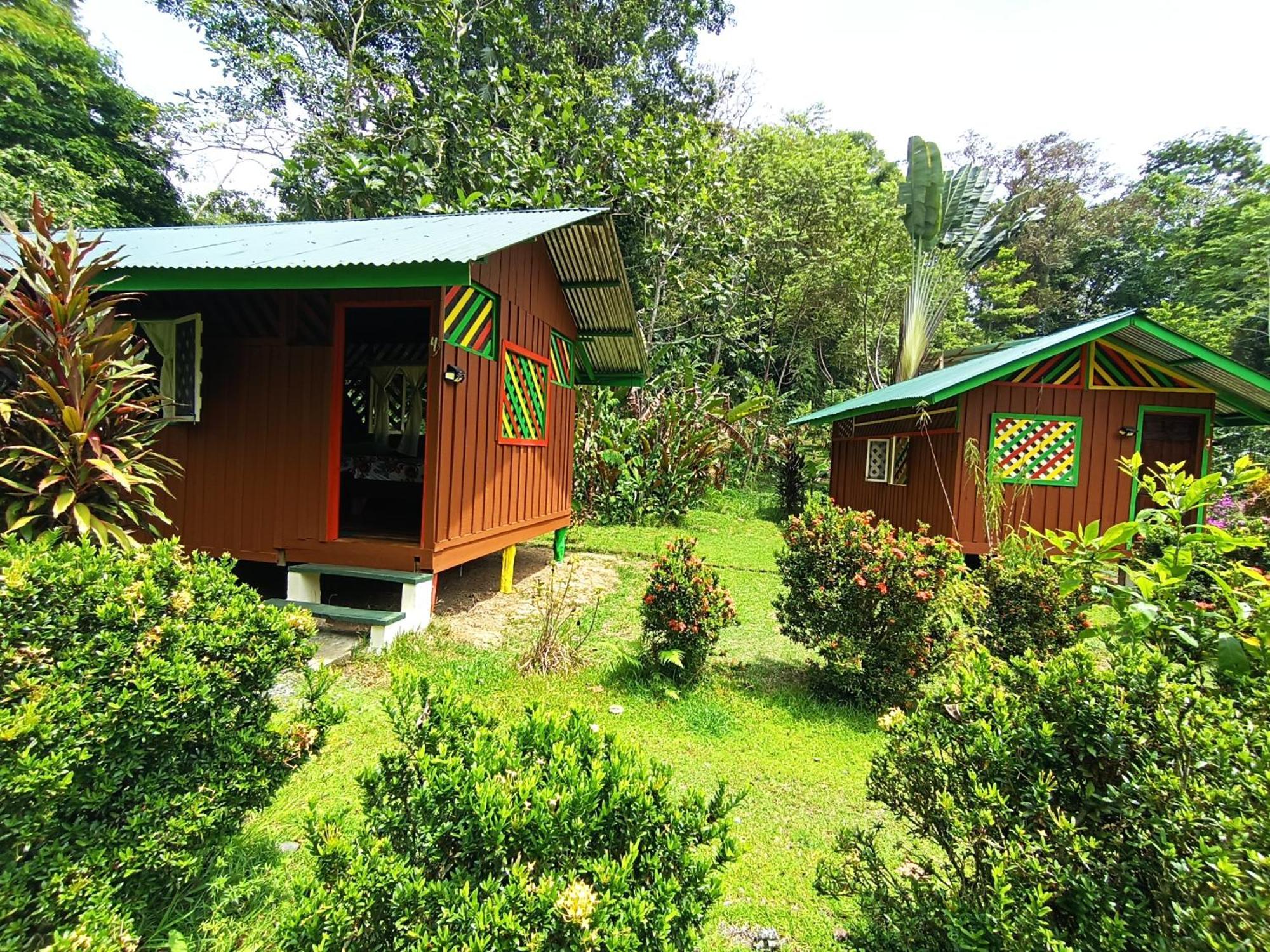 Alouatta Lodge And Canopy Cahuita Zewnętrze zdjęcie