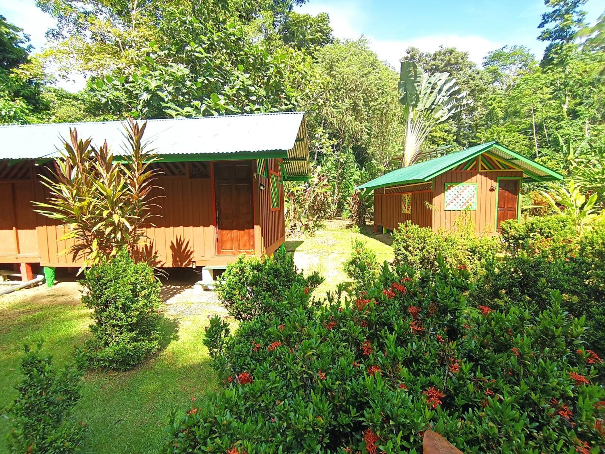 Alouatta Lodge And Canopy Cahuita Zewnętrze zdjęcie