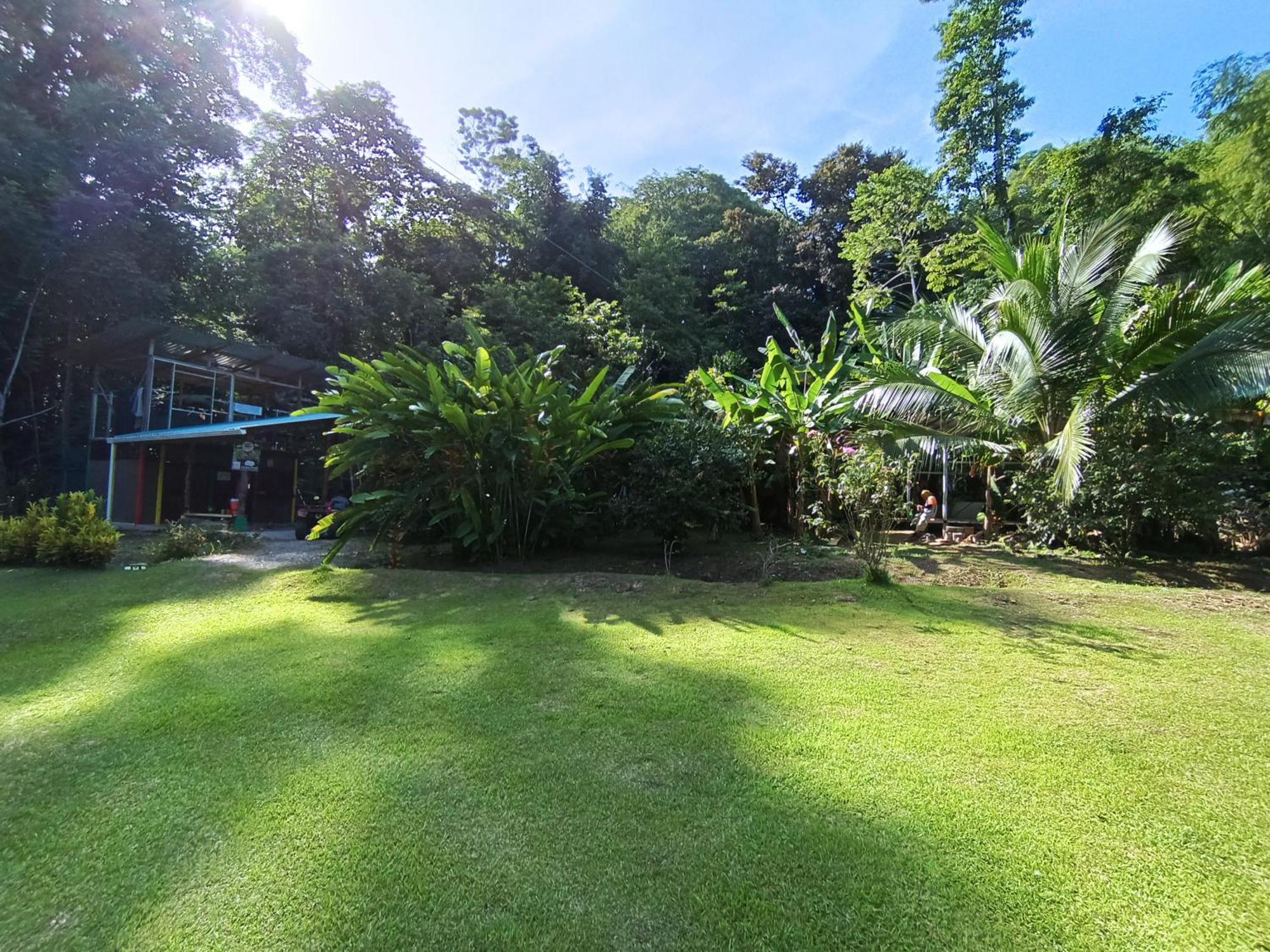 Alouatta Lodge And Canopy Cahuita Zewnętrze zdjęcie